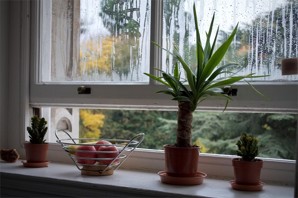 ¿Cómo puedo evitar la condensación en las ventanas?