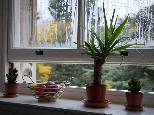 ¿Cómo puedo evitar la condensación en las ventanas?