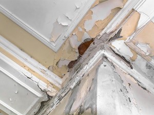 Destrozos que provoca el agua en las viviendas